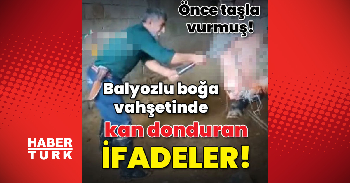 Balyozlu boğa vahşetinde kan donduran ifadeler - Gündem - mardin - Dudullu Haber