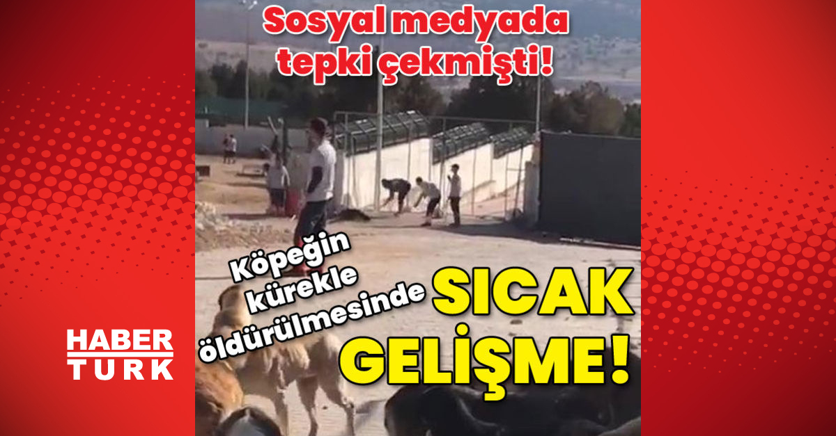 Konyada köpeğin kürekle öldürülmesi olayında sıcak gelişme - Gündem - Konya - Dudullu Haber