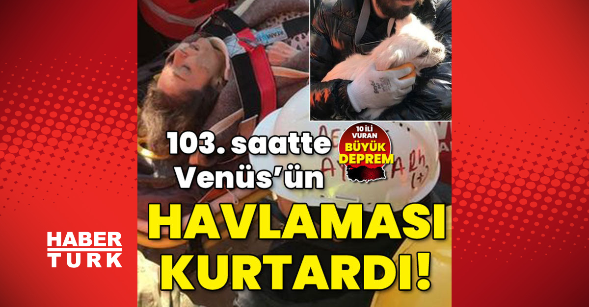 103üncü saatte Venüsün havlaması kurtardı - Gündem - antakya - Dudullu Haber