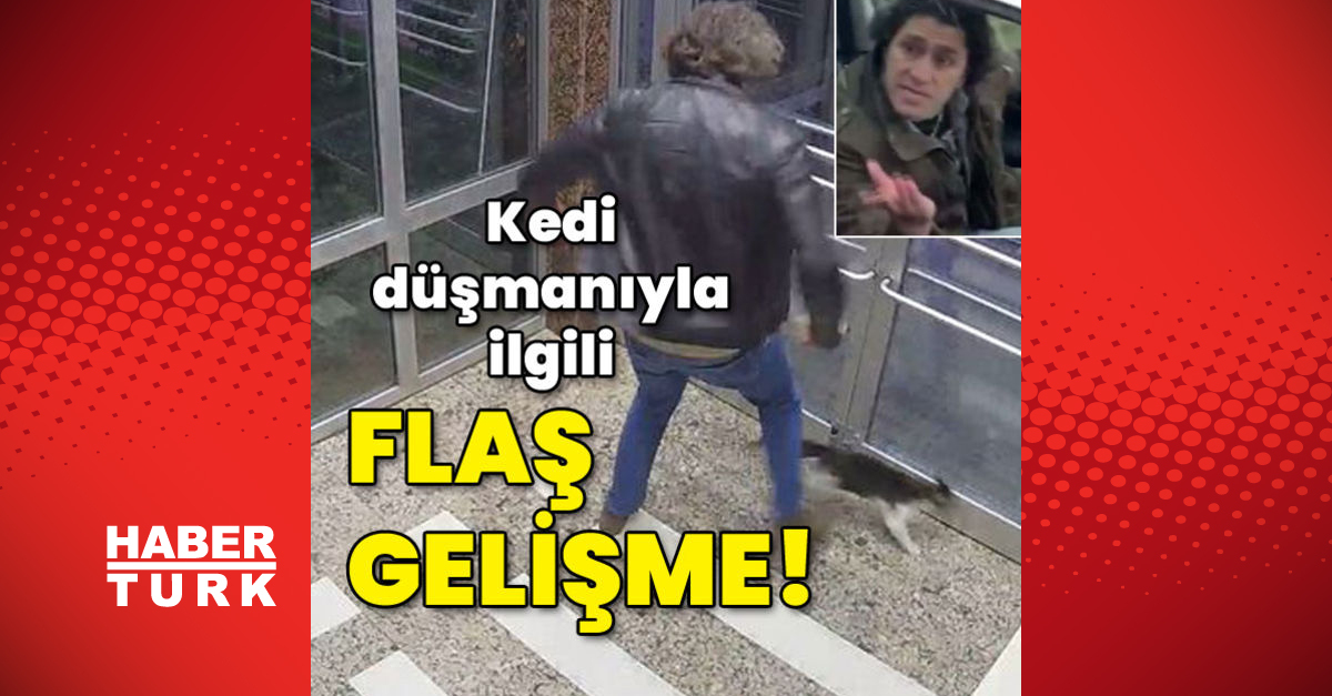 Büyük tepki çekmişti Kedi düşmanıyla ilgili flaş gelişme - Gündem - istanbul - Dudullu Haber