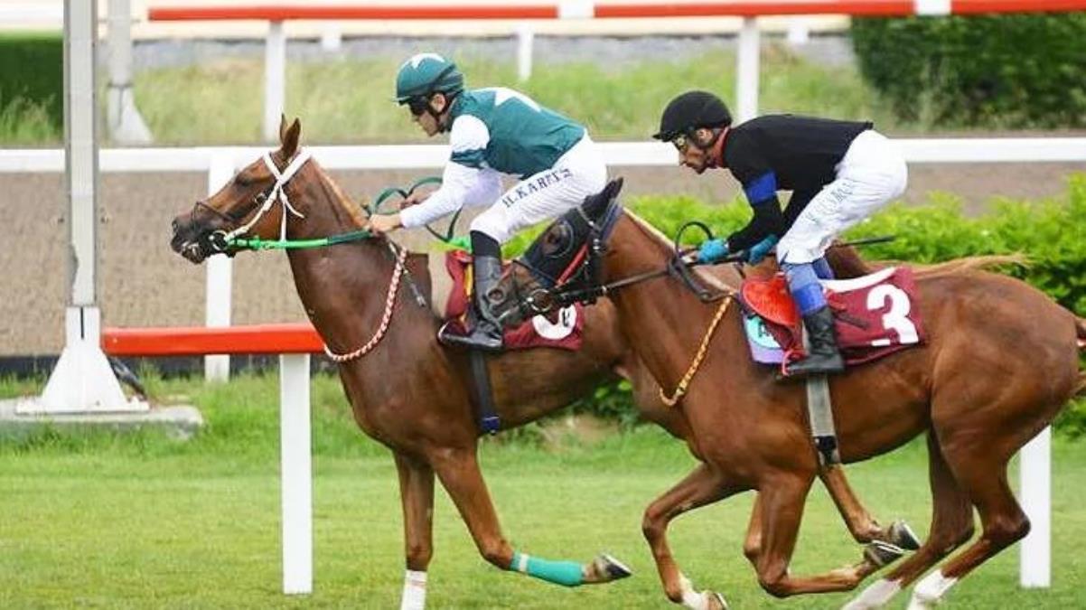 Deprem felaketi nedeniyle iptal edilen at yarışlarının başlama tarihi belli oldu - Spor - Dudullu Haber