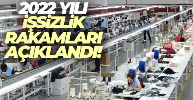 2022 yılı işsizlik rakamları açıklandı - Gündem - istanbul - Dudullu Haber