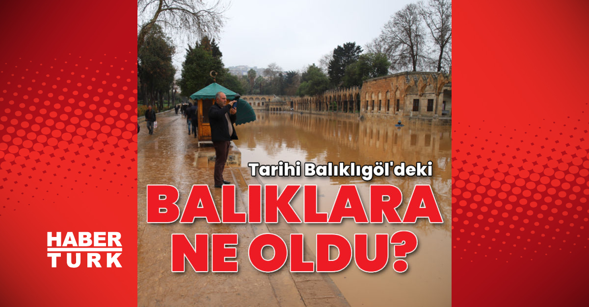 Balıklıgöldeki balıklara ne oldu - Gündem - afet - Dudullu Haber