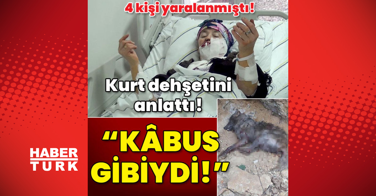 Kurt dehşetini anlattı Kâbus gibiydi - Gündem - Erzurum - Dudullu Haber