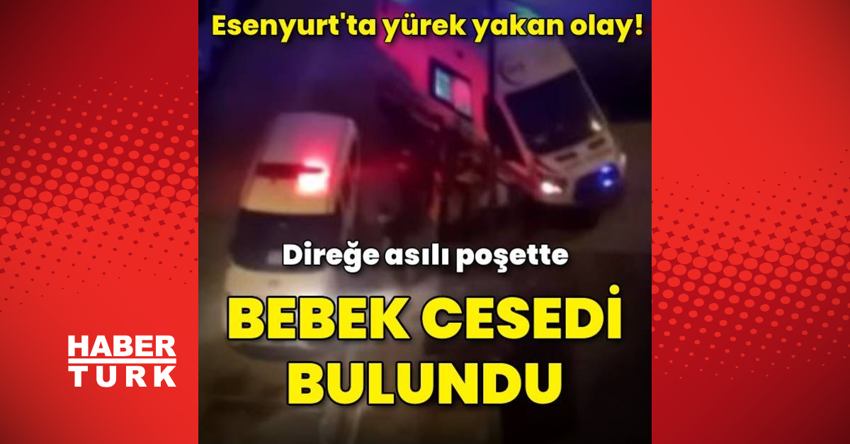 Yürek yakan olay Direğe asılı poşette bebek cesedi bulundu - Gündem - haberler - Dudullu Haber