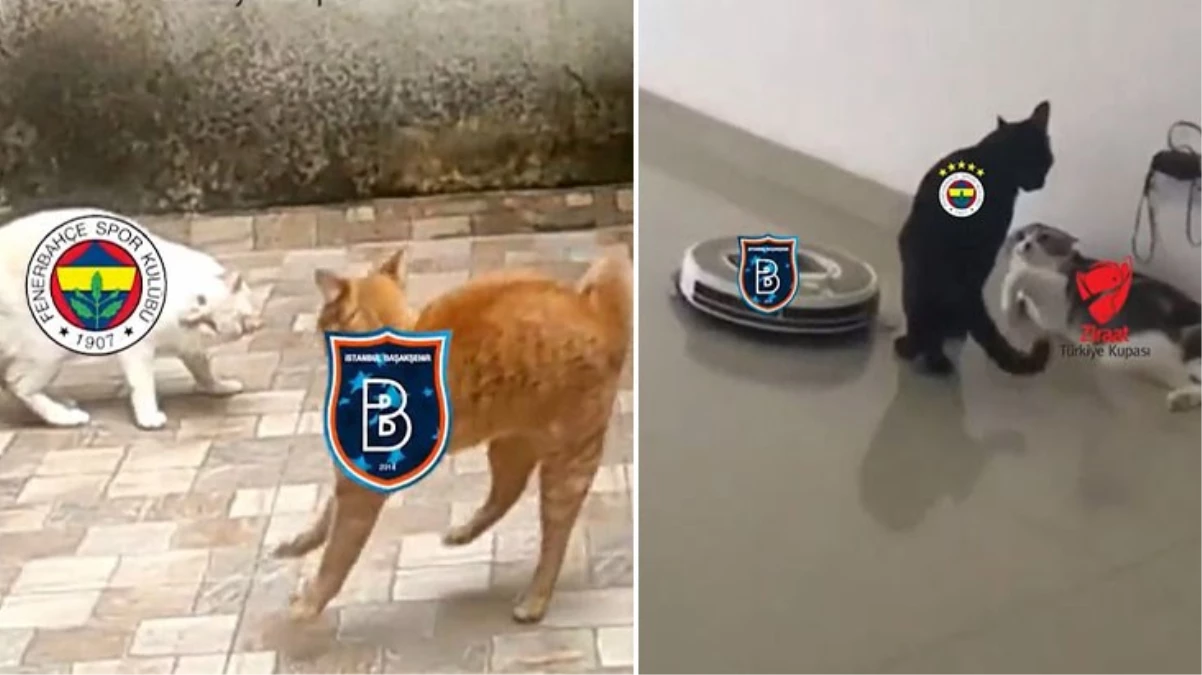 Başakşehirin kedi videolu göndermesine jet hızında cevap Fenerbahçe taraftarını kırdı geçirdi - Spor - Dudullu Haber