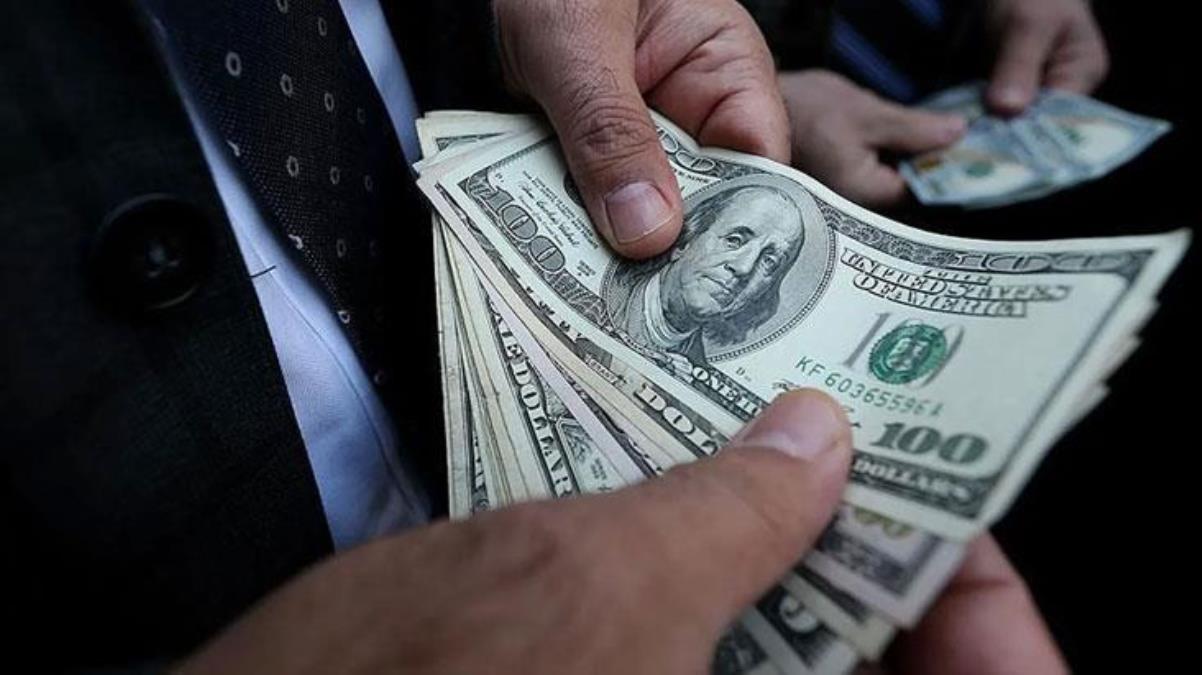 Dolar 20 lira seviyesini aşarak tüm zamanların rekorunu kırdı - Ekonomi - Dudullu Haber