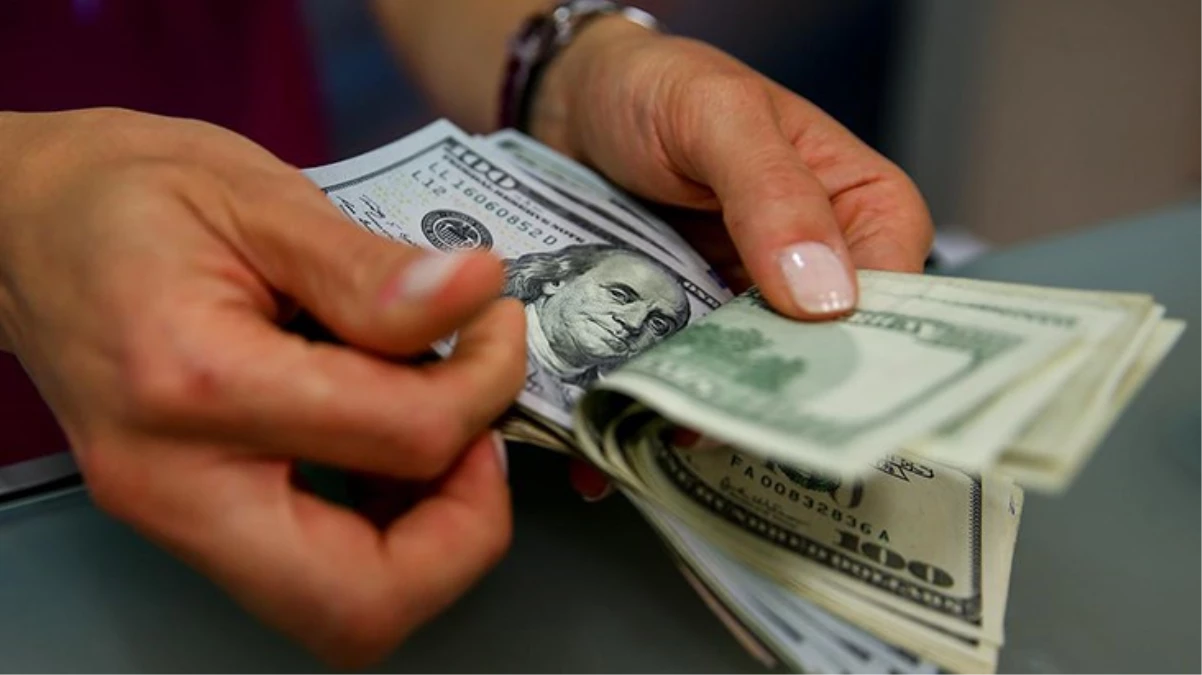 Dolar 2047 TL ile tarihi zirveyi gördü - Ekonomi - Dudullu Haber