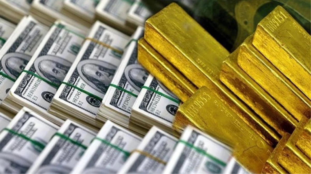 Merkez Bankasının rezervleri 1 haftada 35 milyar dolar azaldı - Ekonomi - Dudullu Haber