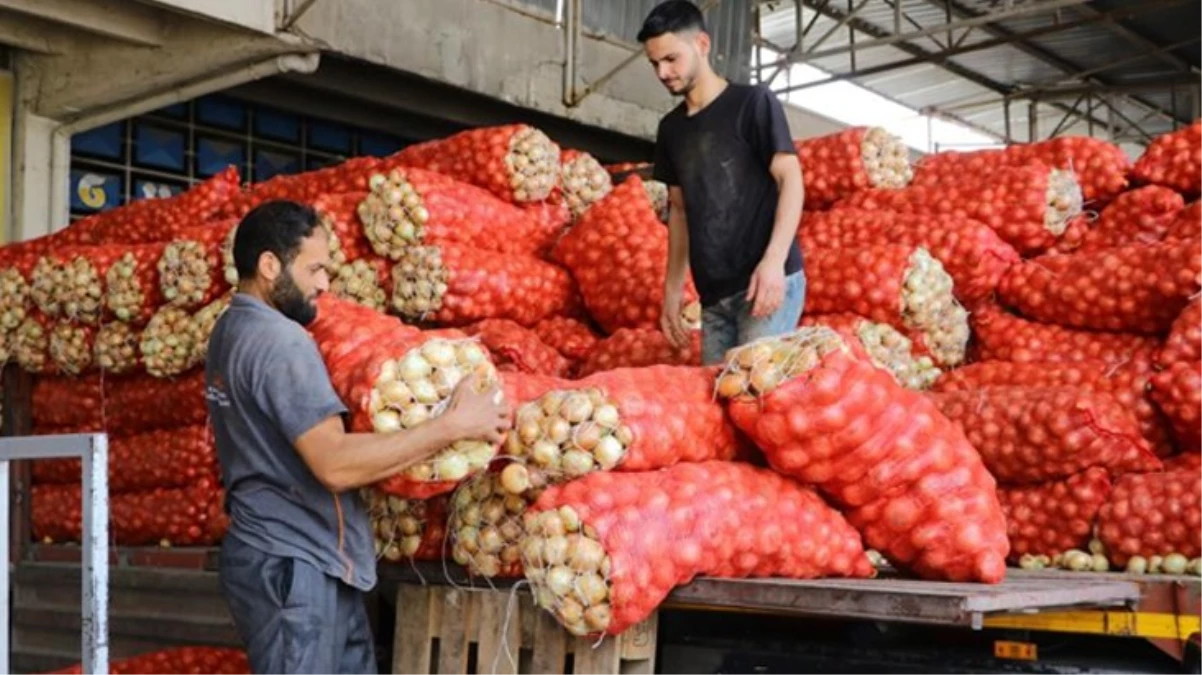 Soğanla ilgili vatandaşın beklediği haber geldi Fiyatlar düşecek - Ekonomi - Dudullu Haber