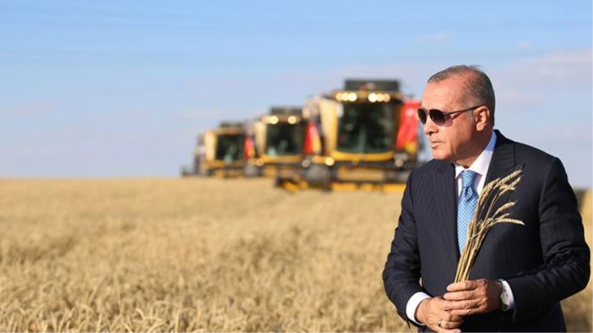 Cumhurbaşkanı Erdoğan buğday ve arpa alım fiyatlarını açıkladı - Ekonomi - Dudullu Haber