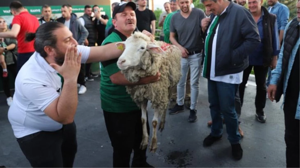 Kocaelispor taraftarlarından eşi benzeri görülmemiş koyunlu istifa çağrısı - Spor - Dudullu Haber