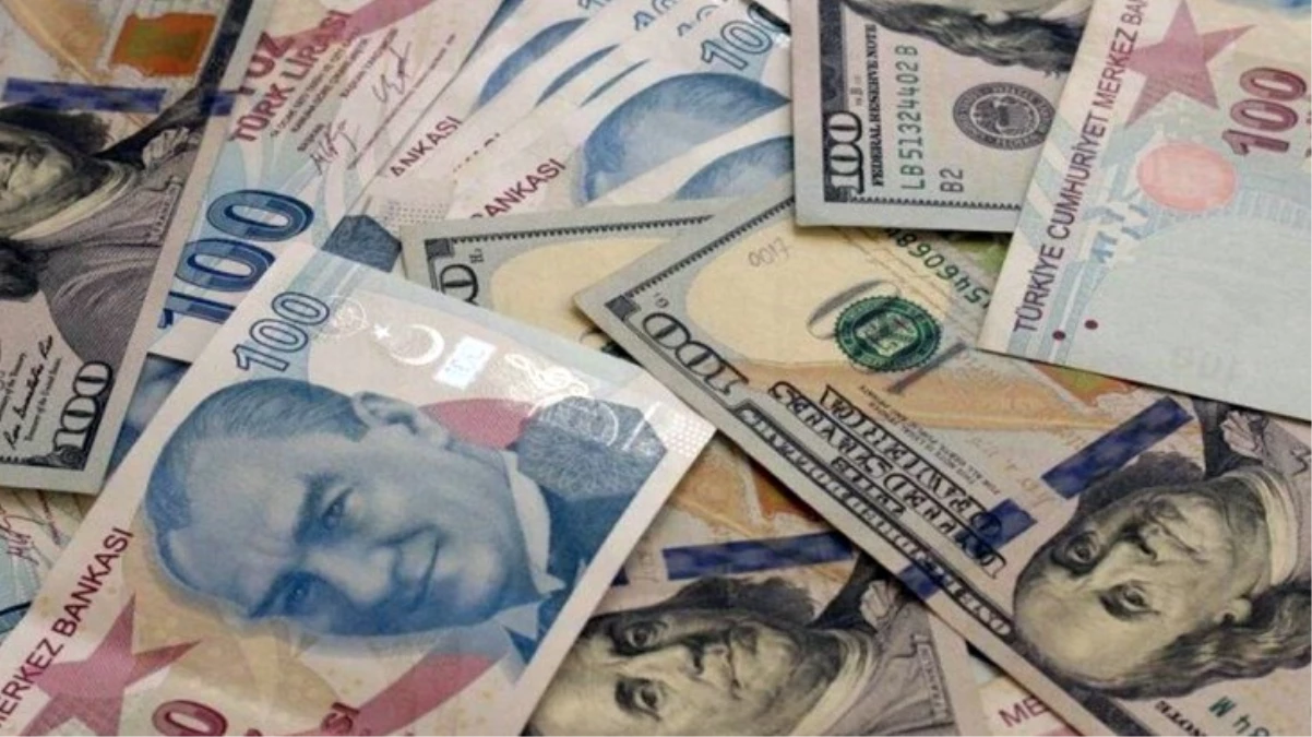 Merkez Bankası anketinde dolar ve faiz tahmini yükseldi - Ekonomi - Dudullu Haber