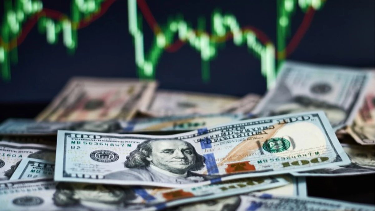 Merkez Bankasının faiz kararı sonrası dolar güne tarihi rekoru kırarak başladı - Ekonomi - Dudullu Haber