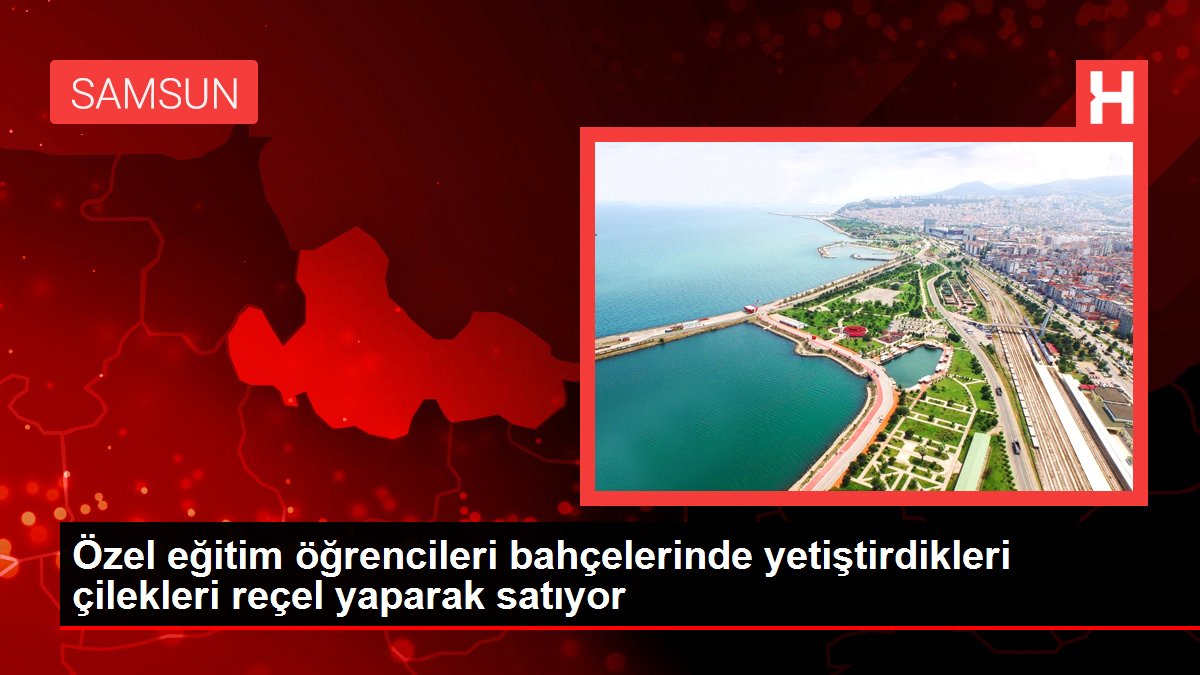 Özel eğitim öğrencileri bahçelerinde yetiştirdikleri çilekleri reçel yaparak satıyor - Eğitim - Dudullu Haber