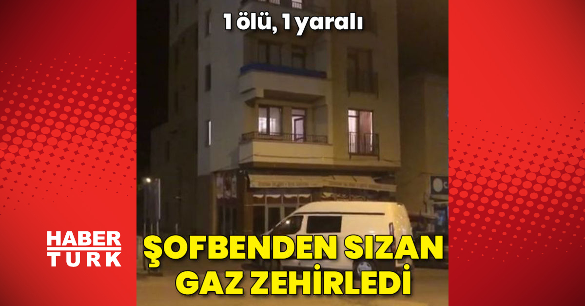 Şofbenden sızan gaz zehirledi 1 ölü 1 yaralı - Gündem - Erzurum - Dudullu Haber