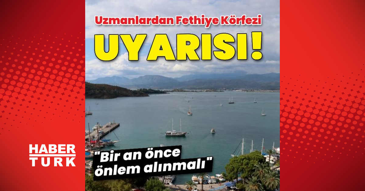 Uzmanlardan Fethiye Körfezi uyarısı - Gündem - çevre haberleri - Dudullu Haber