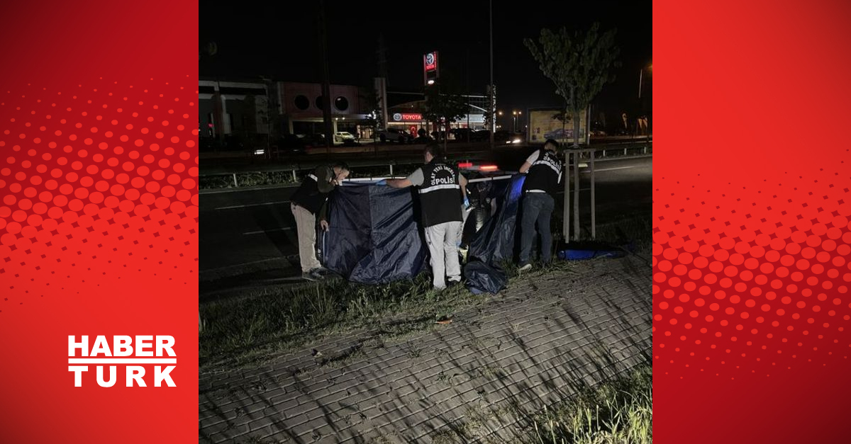 Yol kenarında cansız beden bulundu - Gündem - Bursa - Dudullu Haber