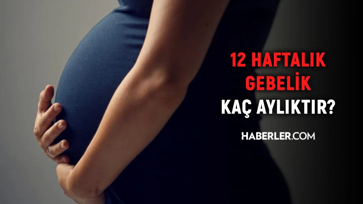 12 haftalık gebelik kaç aylık oluyor? Hamilelikte doğru bilinen yanlışlar!