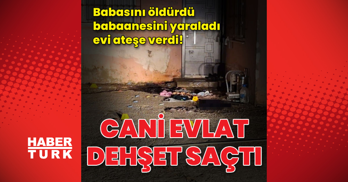 Evlat dehşeti Babasını öldürdü babaannesini yaraladı - Gündem - Alaçam - Dudullu Haber