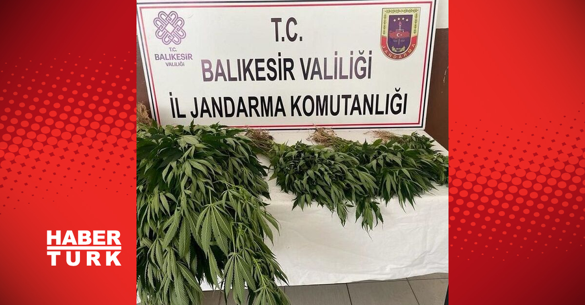 Balıkesir039de uyuşturucu operasyonunda 5 kişi yakalandı - Güncel haberler - Gündem - Balıkesir - Dudullu Haber