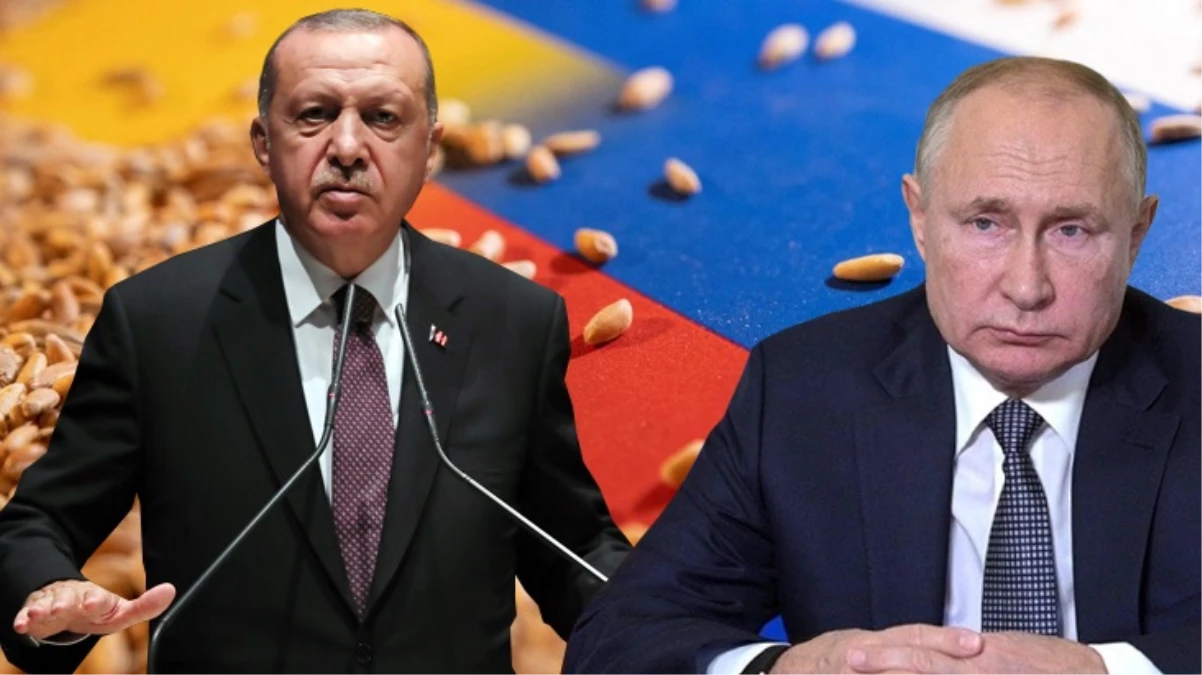 Cumhurbaşkanı Erdoğan tahıl krizini çözmek için Soçiye çıkarma yapacak - Ekonomi - Dudullu Haber