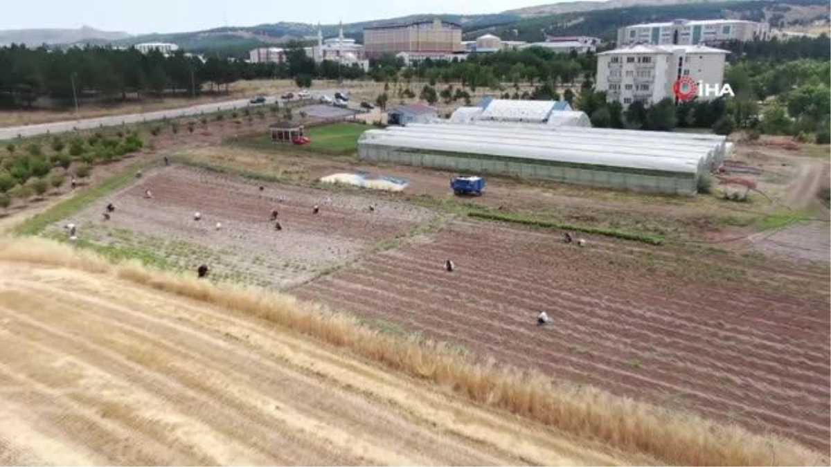 Okumanın Yaşı Olmaz Dediler Geleceğin Mesleğine Adım Attılar - Eğitim - Dudullu Haber