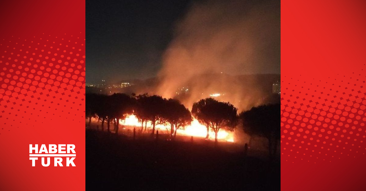 Son dakika haberi İstanbul Maltepe039de ormanlık alanda yangın çıktı - Güncel haberler - Gündem - HABER - Dudullu Haber