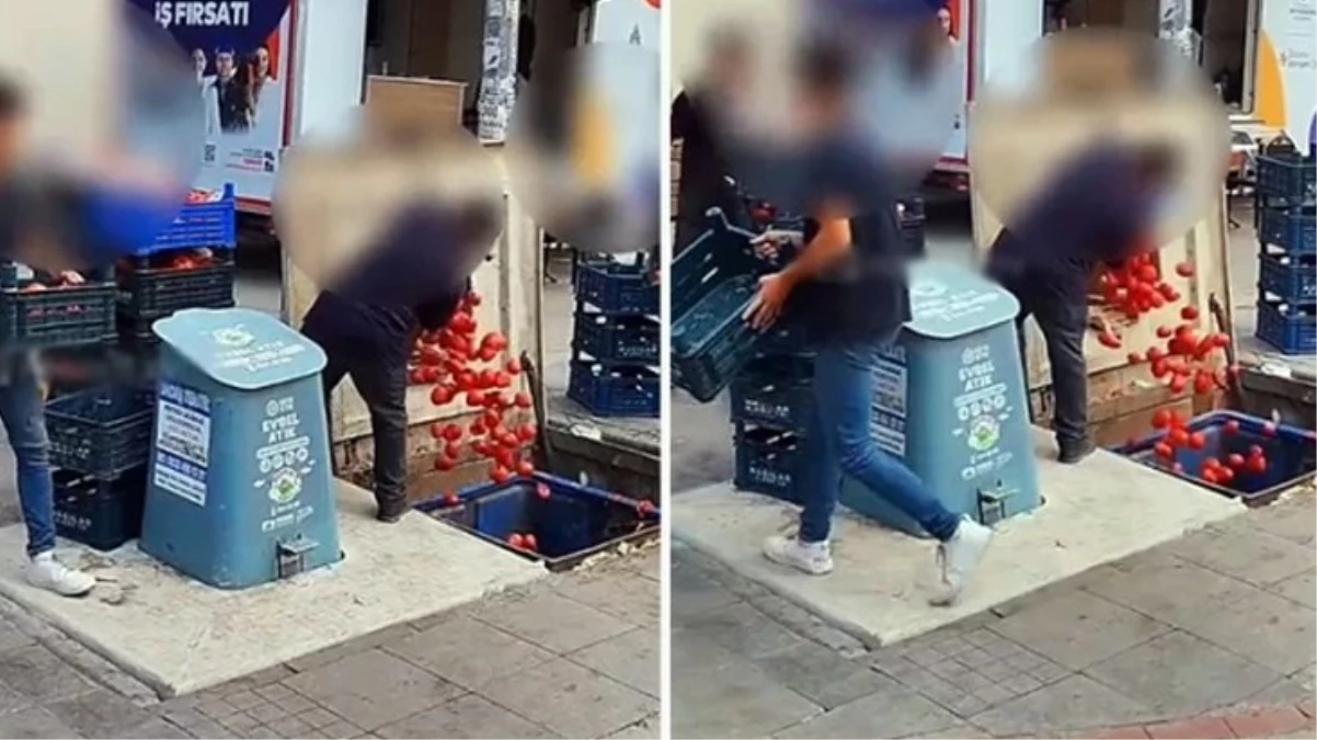 Ticaret Bakanlığı kasa kasa domatesi çöpe döken marketin cezasını kesti - Ekonomi - Dudullu Haber