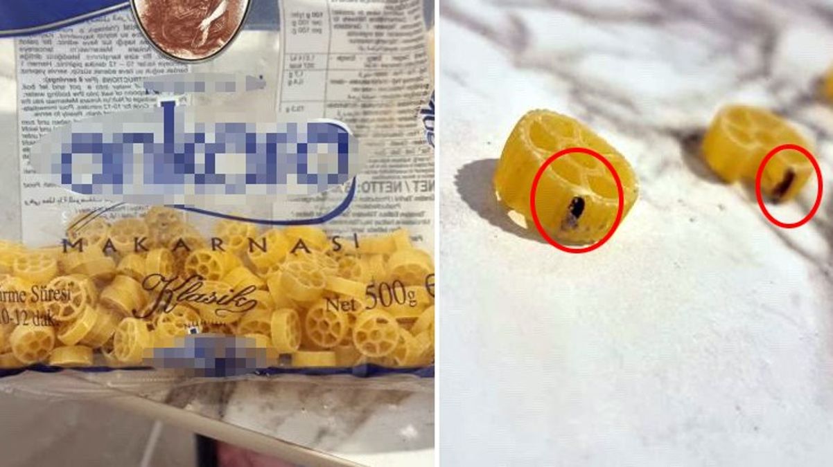 Ünlü markanın makarnasından böcek çıktı - Ekonomi - Dudullu Haber