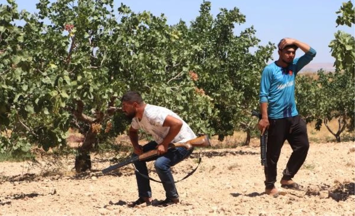Yeşil altında hırsızlığa karşı önlem Günlük 1000 TL yevmiye ile ellerinde tüfeklerle nöbet tutuyorlar - Ekonomi - Dudullu Haber