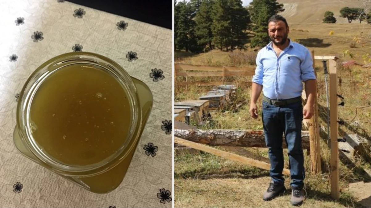 89 nüfuslu köyde keşfedildi Yeşil balın kilosu 20 bin liradan satılıyor - Ekonomi - Dudullu Haber