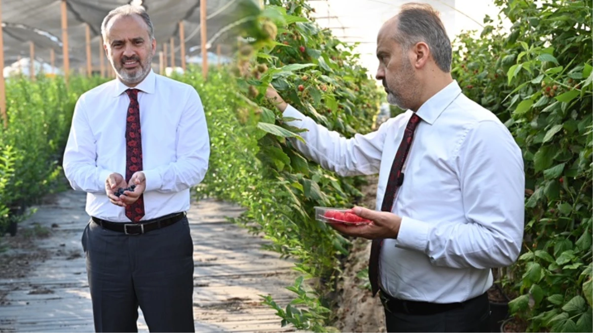 Alinur Aktaşın çabaları sonuç verdi Tarım artık Bursanın yükselen değeri - Ekonomi - Dudullu Haber