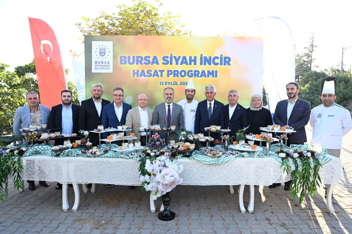Bursanın siyah incisinde hasat başladı - Ekonomi - Dudullu Haber