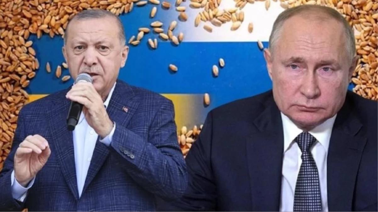 Cumhurbaşkanı Erdoğan Tahıl meselesinde Rusyayı dışlayan bir sistemin olması mümkün değildir - Ekonomi - Dudullu Haber