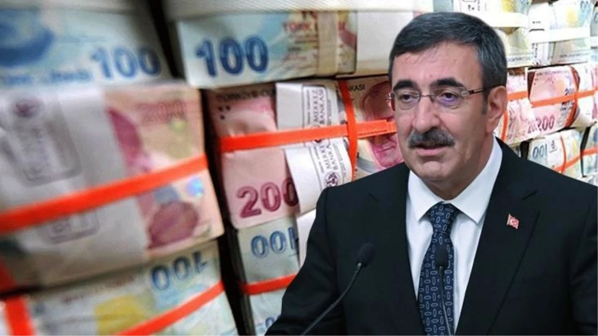 Cumhurbaşkanı Yardımcısı Cevdet Yılmaz Gelir düzeyine göre vergilendirme öngörüyoruz - Ekonomi - Dudullu Haber