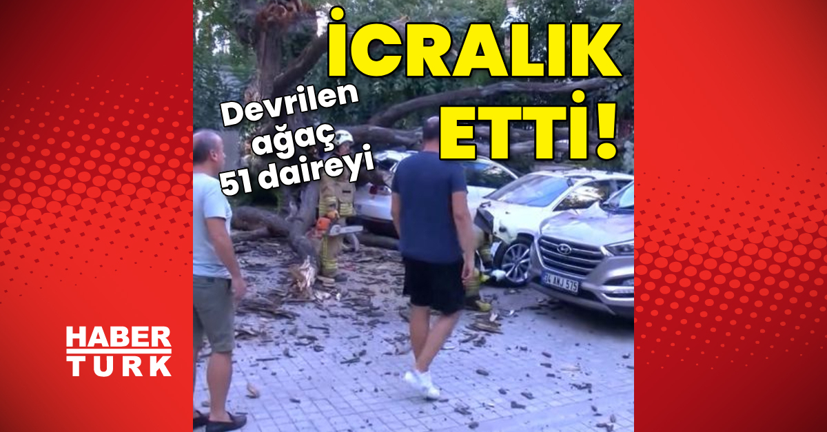 Kadıköy039de aracın üstüne devrilen ağaç 51 daireyi icralık etti - Gündem - Son dakika haberler - Dudullu Haber