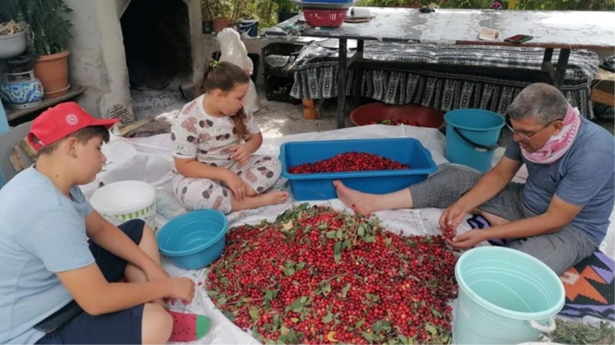 Kızılcık üretimini kırağı vurdu Verim düşünce fiyat 50 TLye çıktı - Ekonomi - Dudullu Haber