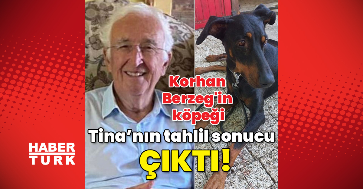 Korhan Berzeg039in köpeği Tina039nın tahlil sonucu çıktı - Korhan Berzeg bulundu mu Korhan Berzeg son durum - Gündem haberleri - Gündem - Korhan Berzeg - Dudullu Haber