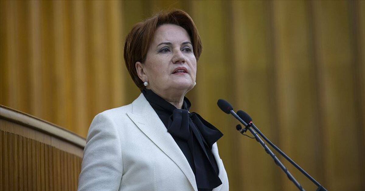 Meral Akşener039den yerel seçim açıklaması - Güncel haberler - Gündem - Bursa - Dudullu Haber