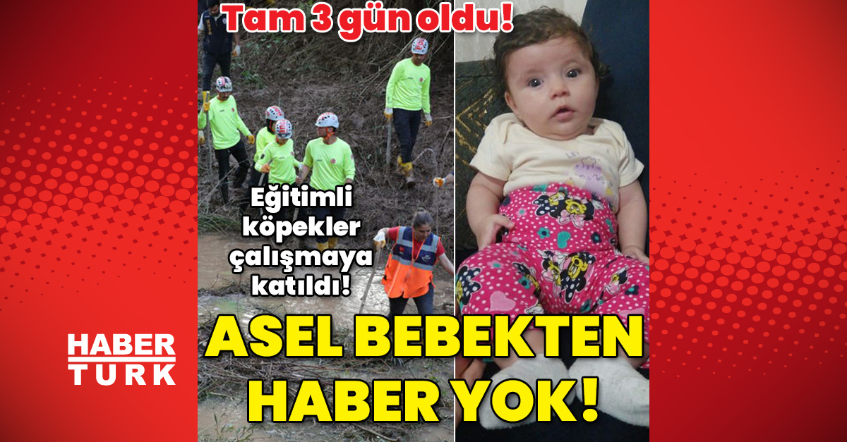 SEL FACİASI  Sel felaketi Eğitimli köpekler de aramaya katıldı Asel bebekten haber yok - Asel bebek ne oldu son dakika sel haberleri - Gündem - Asel bebek - Dudullu Haber