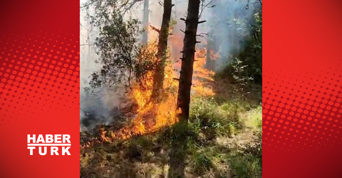 son dakika istanbul039da orman yangini cikti dumanlar istanbul039un bircok yerinden goruluyor