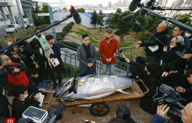 Tokyo'da 227 kilo ağırlığındaki dev mavi yüzgeçli ton balığı, açık artırımda 800,000 dolara satıldı