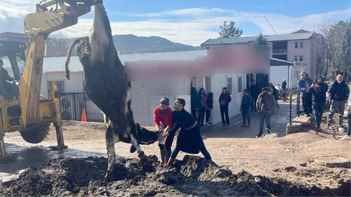 Esnaf-ve-ciftciler-banka-mudurunun-tayininin-cikmasini-tosun-keserek-kutladijpg - Dudullu Haber