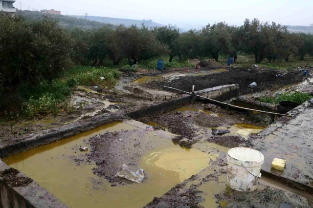 Hatay'da Zeytinyağı Fabrikasında Patlama: 50 Ton Zeytinyağı Araziye Yayıldı
