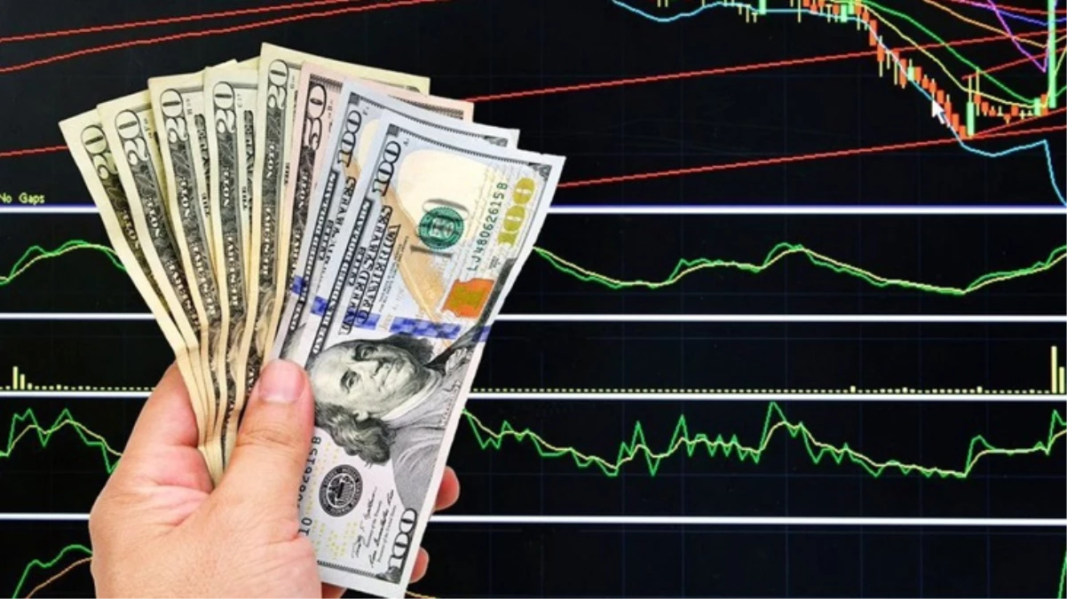 Serbest-piyasada-dolar-30-TL039yi-gordujpg - Dudullu Haber