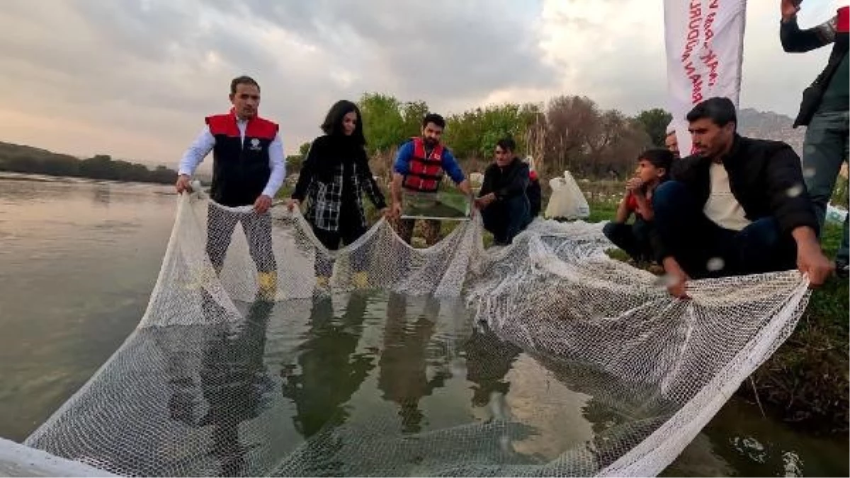Dünyada en çok aranan leopar sazanı Dicle Nehrinde bulundu - Ekonomi - Dudullu Haber