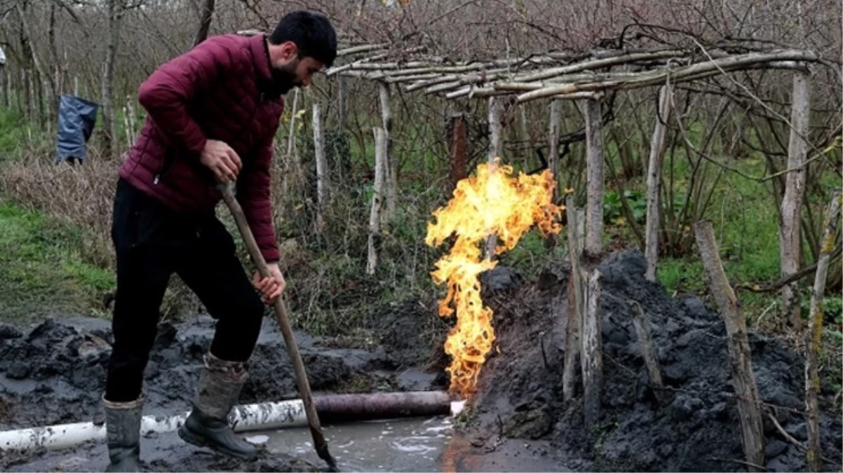 Samsunda fındık ve çeltik tarlalarında yapılan sondajda yanıcı gaz çıktı - Ekonomi - Dudullu Haber