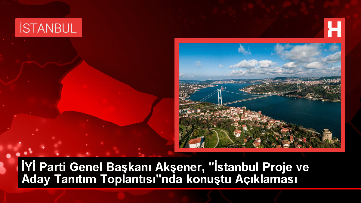 Meral-Aksener-Istanbulu-artik-Istanbullular-yonetmelijpg - Dudullu Haber