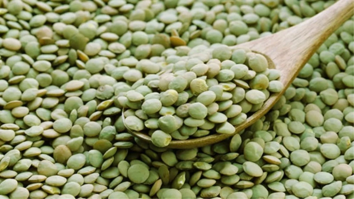 Yesil-mercimek-ithalatinda-gumruk-vergisi-sifirlandijpg - Dudullu Haber